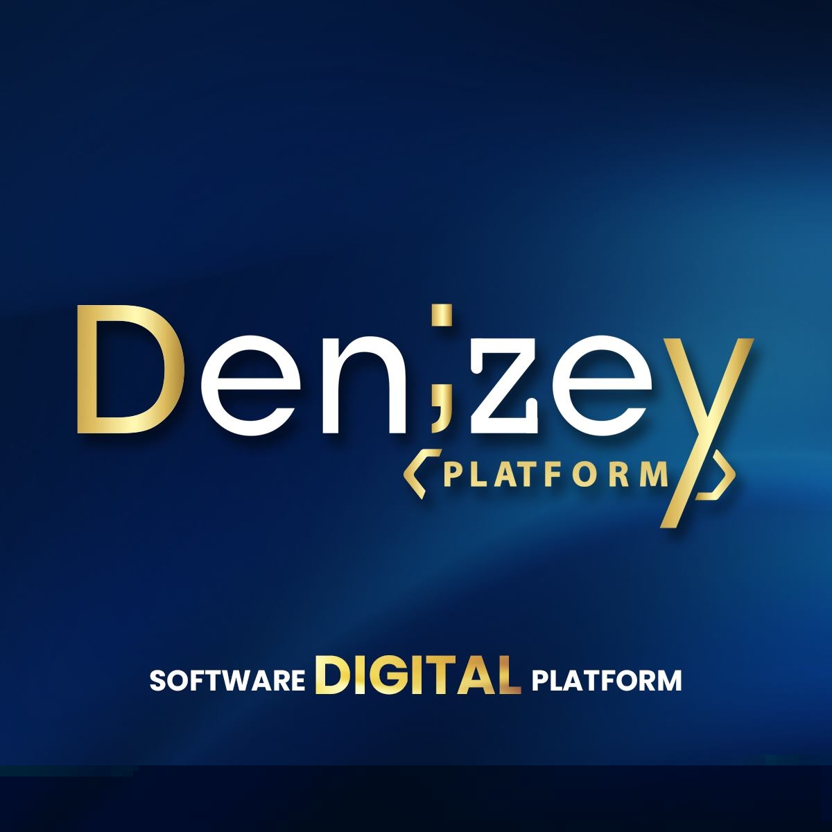 Denizey Platform logo